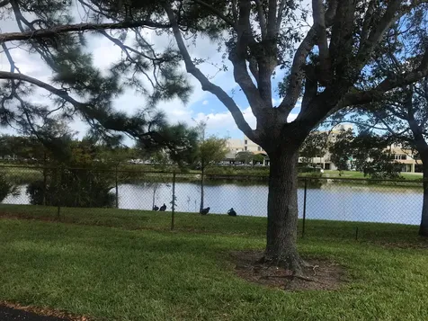 431 Jupiter Lakes Boulevard Jupiter FL 33458