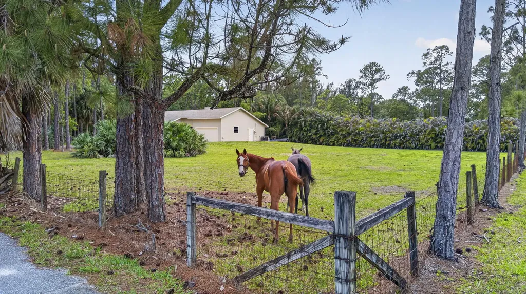 6045 Hall Boulevard The Acreage FL 33470