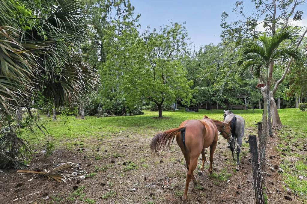 6045 Hall Boulevard The Acreage FL 33470