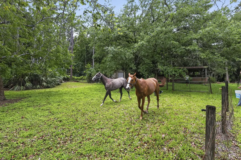 6045 Hall Boulevard The Acreage FL 33470