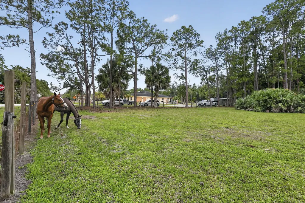 6045 Hall Boulevard The Acreage FL 33470
