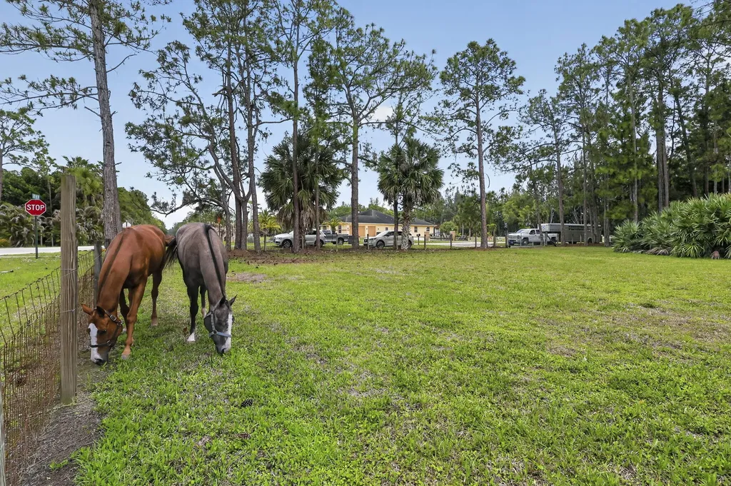 6045 Hall Boulevard The Acreage FL 33470