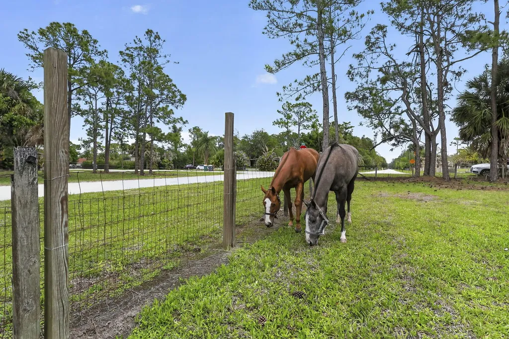 6045 Hall Boulevard The Acreage FL 33470