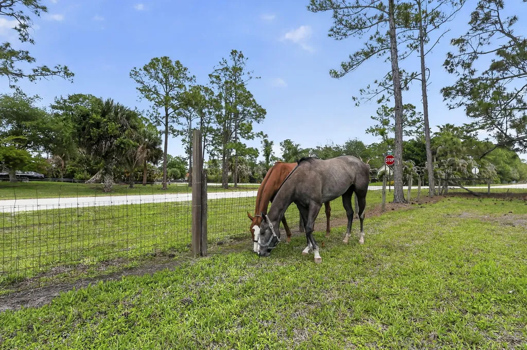 6045 Hall Boulevard The Acreage FL 33470