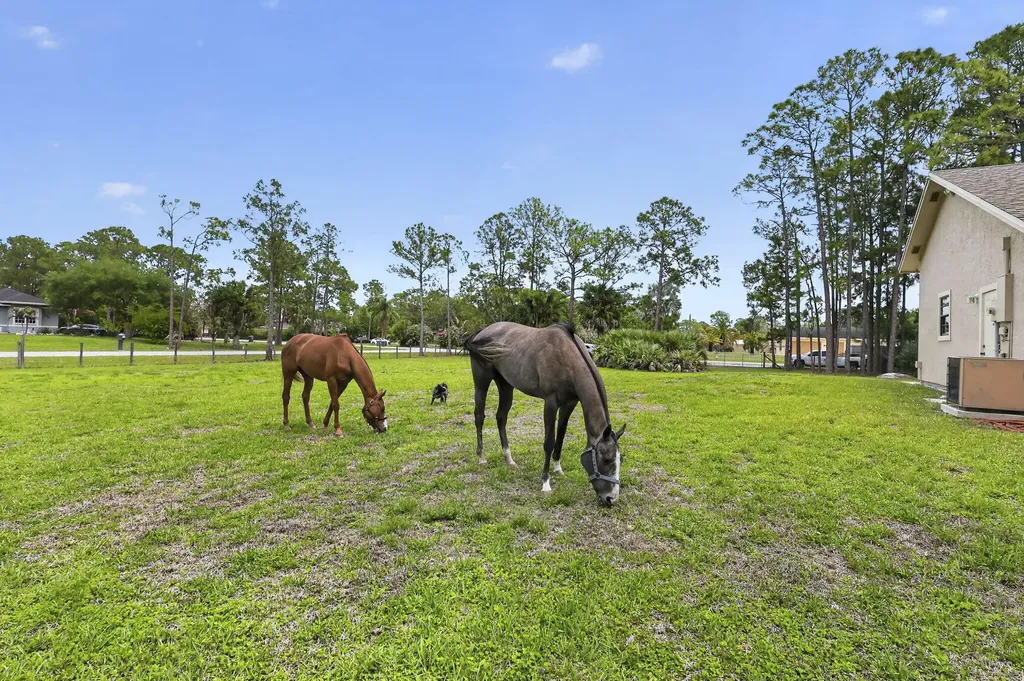 6045 Hall Boulevard The Acreage FL 33470