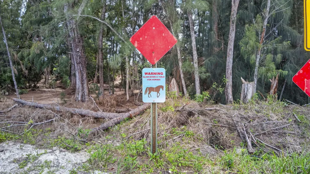 6045 Hall Boulevard The Acreage FL 33470