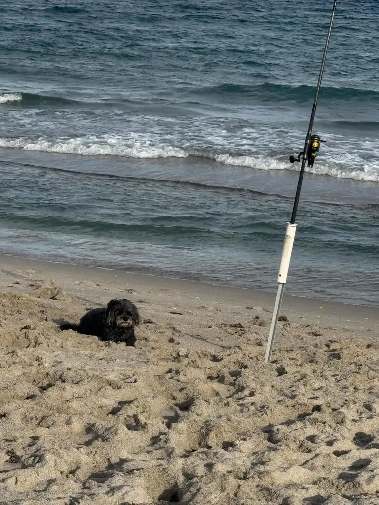 1041 Hillsboro Mile Hillsboro Beach FL 33062