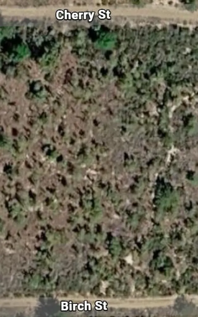 000 Unassigned Location Interlachen FL 32148