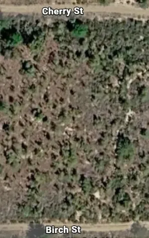 000 Unassigned Location Interlachen FL 32148