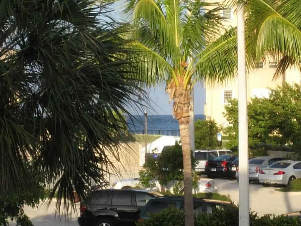 1481 S Ocean Boulevard Lauderdale By The Sea FL 33062