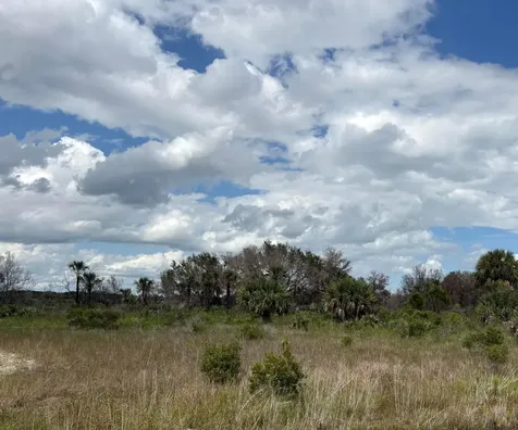 17275 NW 308th Street Okeechobee FL 34972