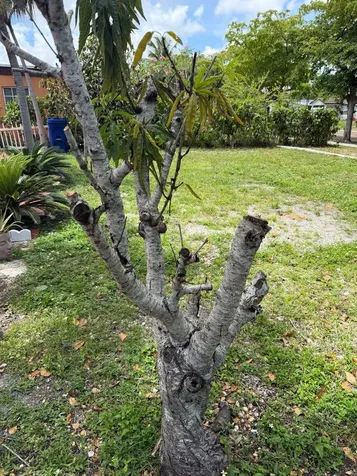 1674 NE 169th Street North Miami Beach FL 33162