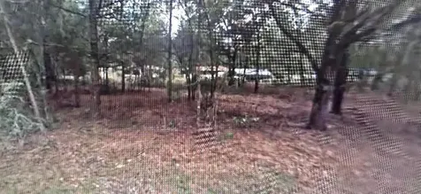 3397 E Alex Place Inverness FL 34453