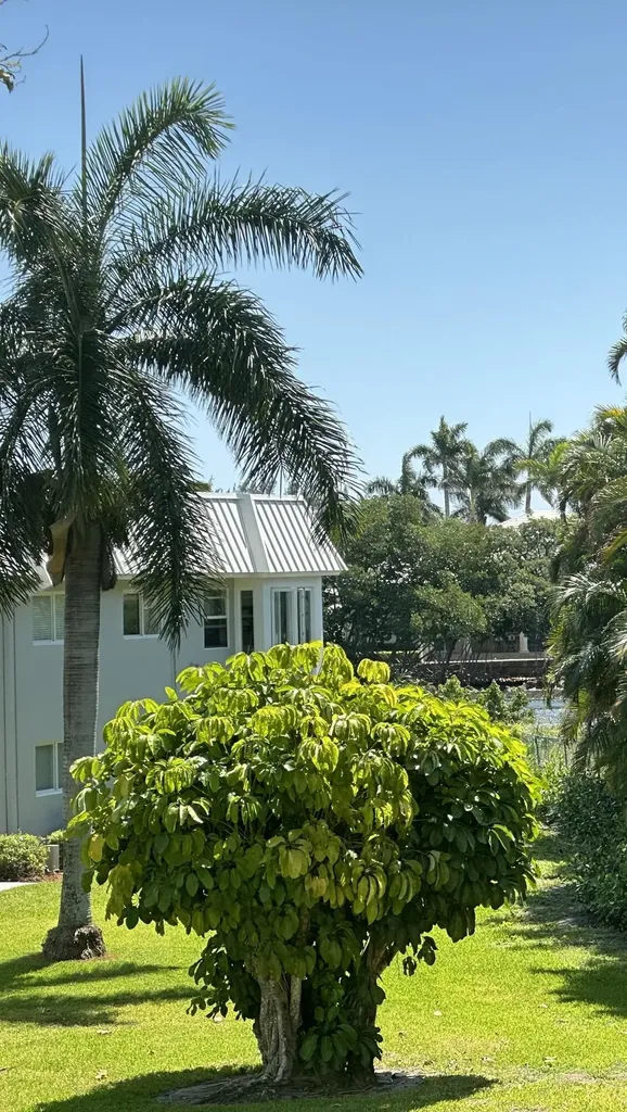33 Colonial Club Drive Boynton Beach FL 33435
