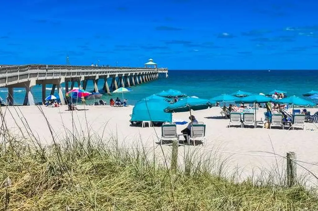 51 SE 19th Avenue Deerfield Beach FL 33441