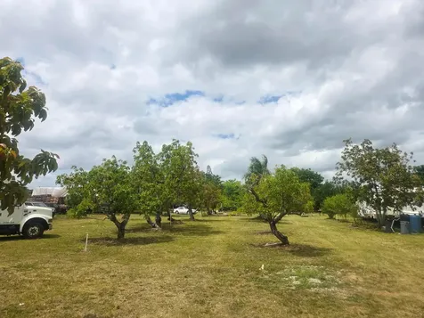 Xxx SW 264th Street Homestead FL 33031