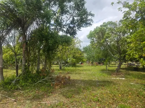 Xxx SW 264th Street Homestead FL 33031