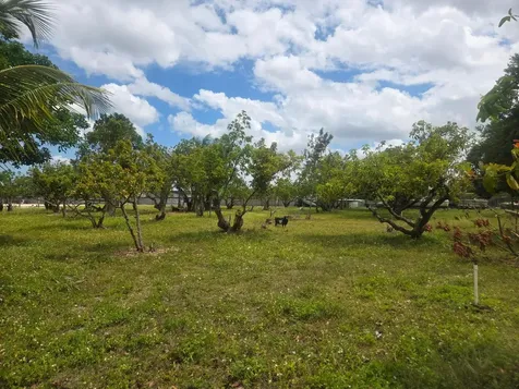 Xxx SW 264th Street Homestead FL 33031