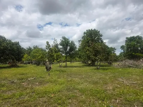 Xxx SW 264th Street Homestead FL 33031