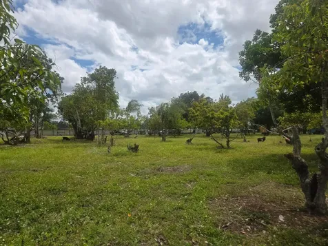 Xxx SW 264th Street Homestead FL 33031