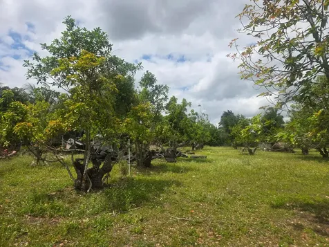 Xxx SW 264th Street Homestead FL 33031