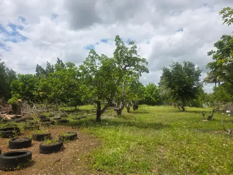 Xxx SW 264th Street Homestead FL 33031