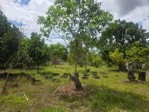 Xxx SW 264th Street Homestead FL 33031