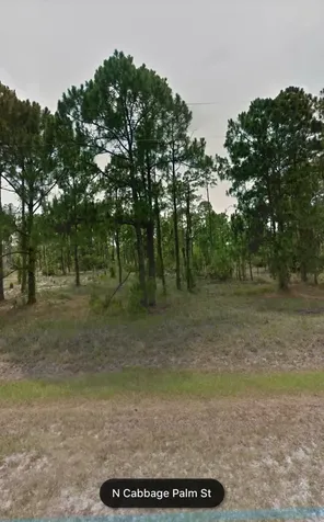 470 N Cabbage Palm Street Clewiston FL 33440