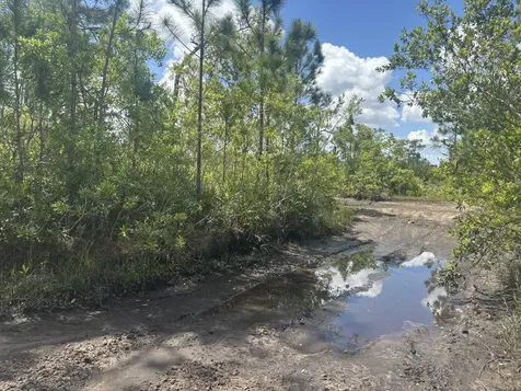 0 Holopaw Groves Road St. Cloud FL 34772