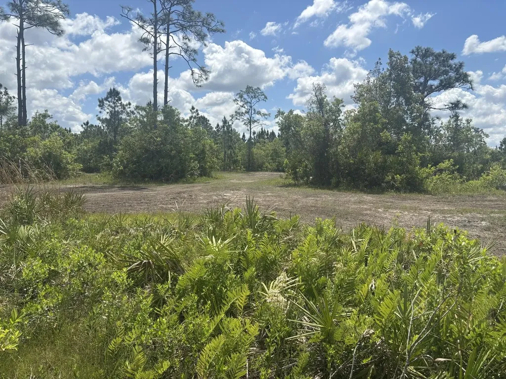 0 Holopaw Groves Road St. Cloud FL 34772