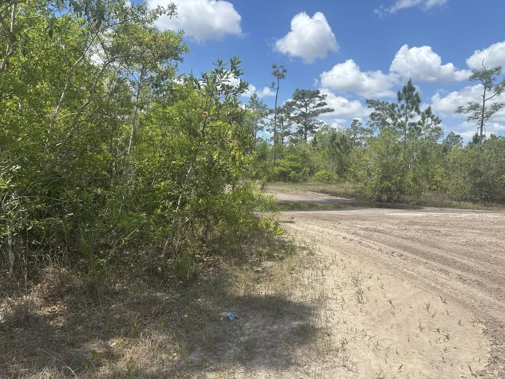 0 Holopaw Groves Road St. Cloud FL 34772