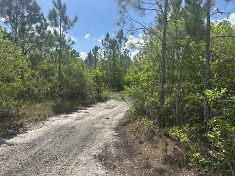 0 Holopaw Groves Road St. Cloud FL 34772
