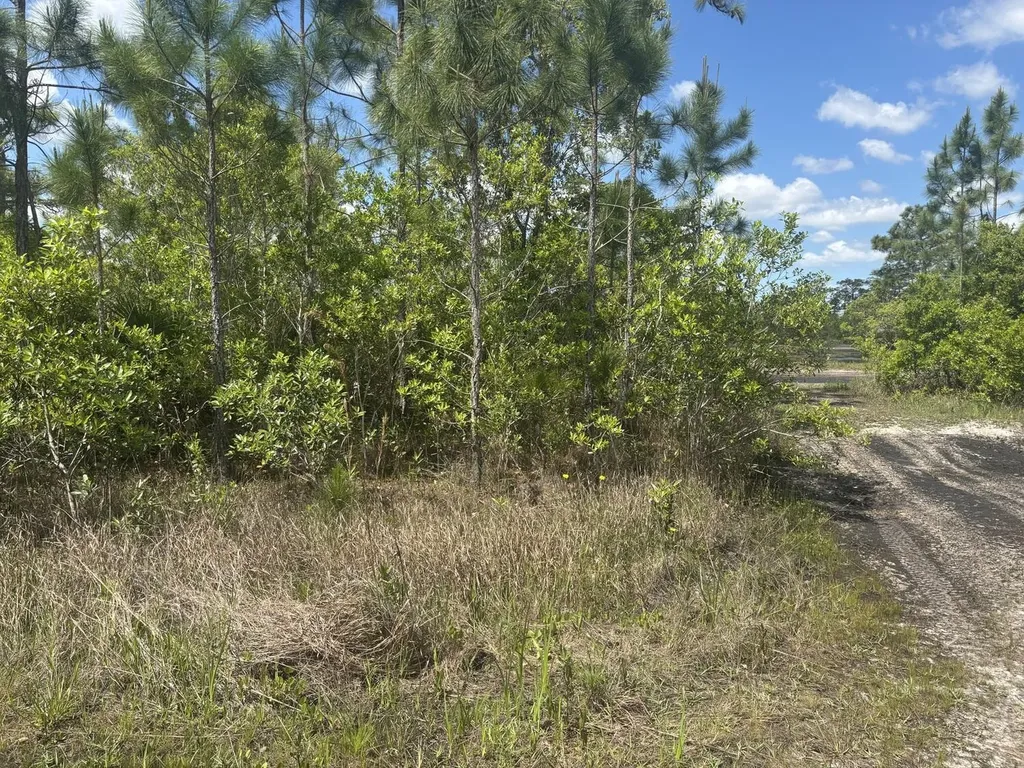 0 Holopaw Groves Road St. Cloud FL 34772