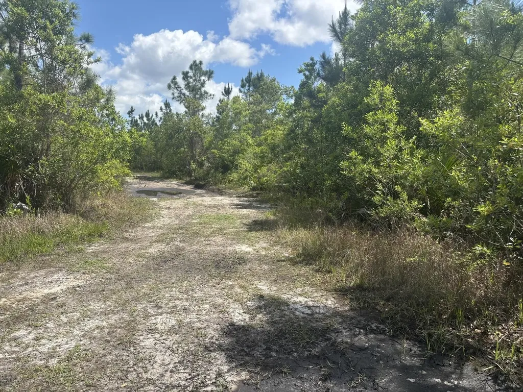 0 Holopaw Groves Road St. Cloud FL 34772