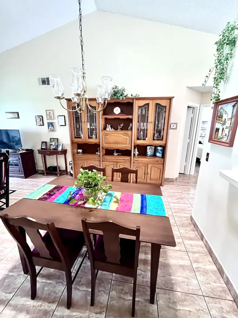 29 Lakepointe Circle Kissimmee FL 34743