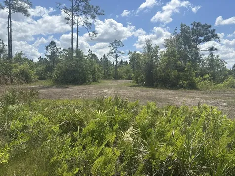 0 Holopaw Groves Road St. Cloud FL 34772
