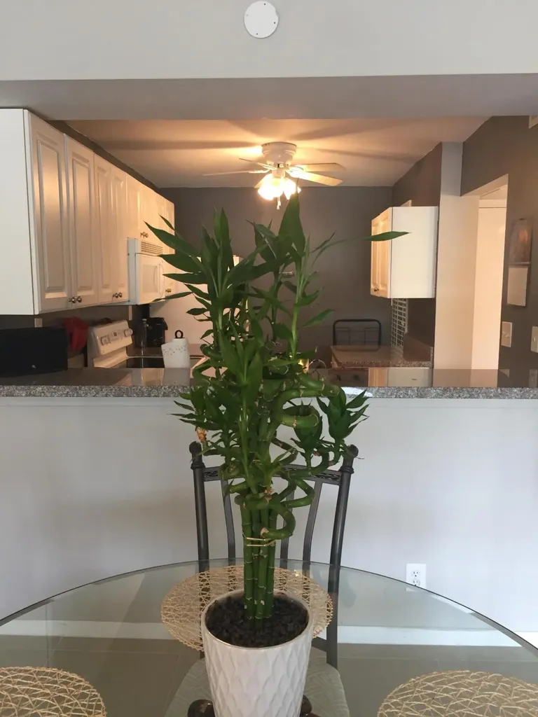 10 Royal Palm Way Boca Raton FL 33432