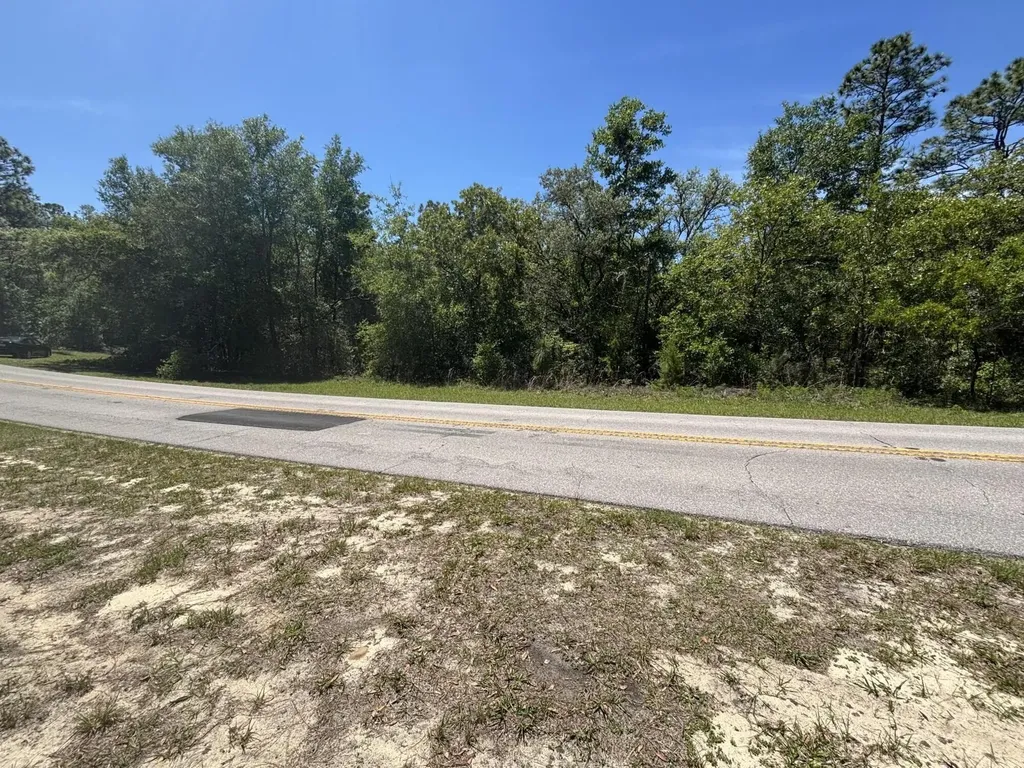 3334 N Annapolis Avenue Hernando FL 34442