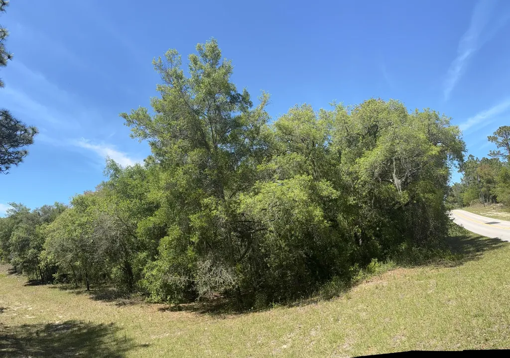 3334 N Annapolis Avenue Hernando FL 34442