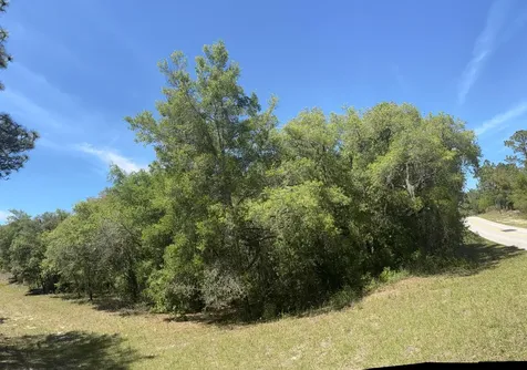 3334 N Annapolis Avenue Hernando FL 34442
