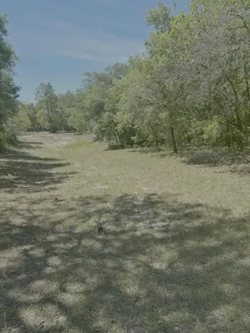 3334 N Annapolis Avenue Hernando FL 34442