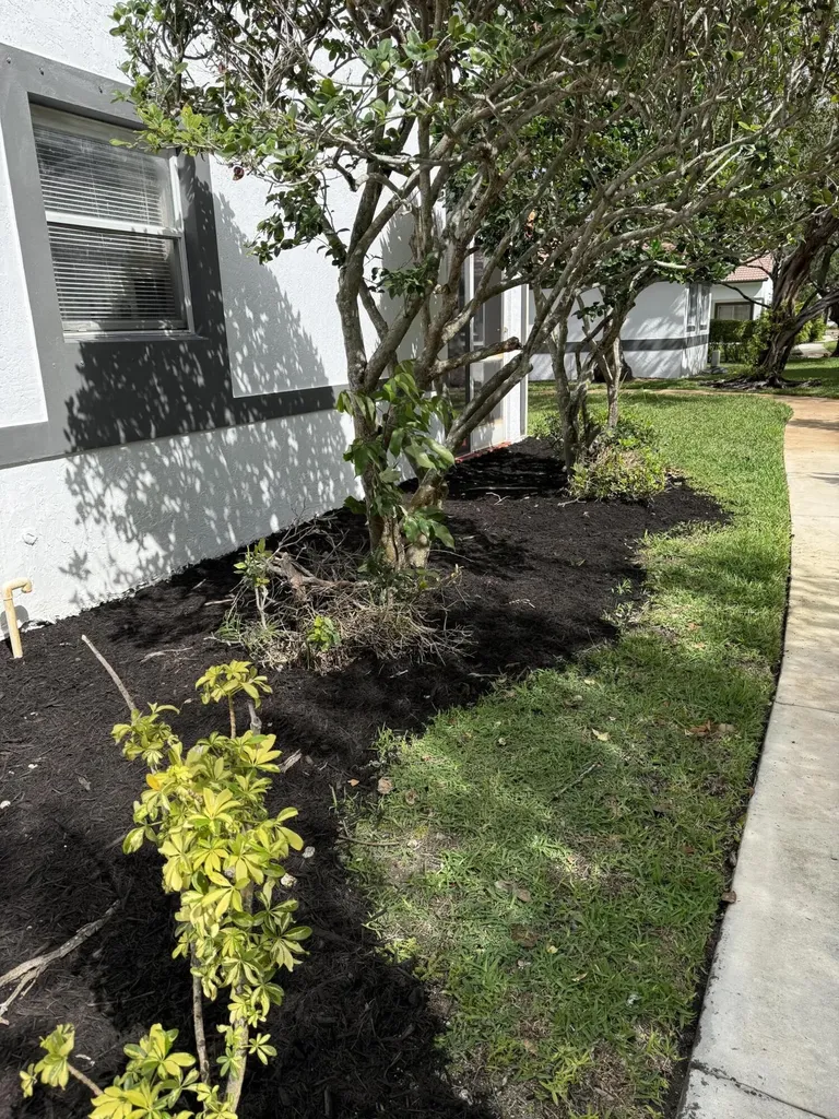 9831 NW 24th Street Sunrise FL 33322