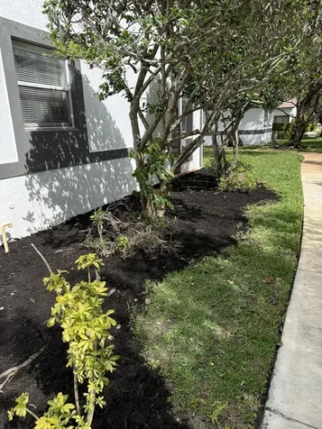 9831 NW 24th Street Sunrise FL 33322