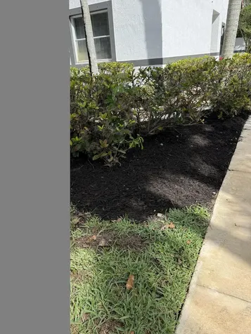 9831 NW 24th Street Sunrise FL 33322