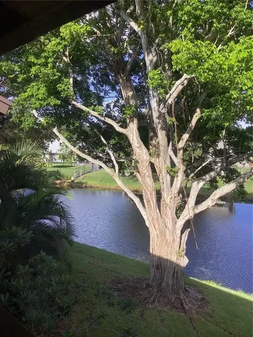 4047 NW 22nd Street Coconut Creek FL 33066