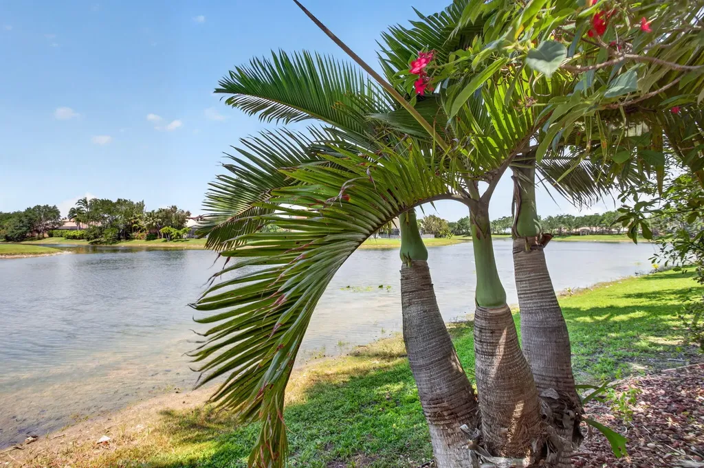 6443 NW 110th Avenue Parkland FL 33076