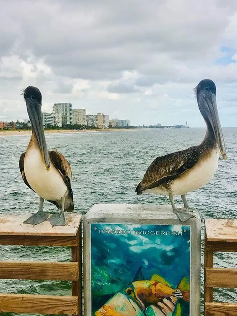 328 N Ocean Boulevard Pompano Beach FL 33062