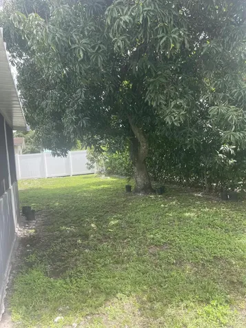 5020 NW 16th Court Lauderhill FL 33313