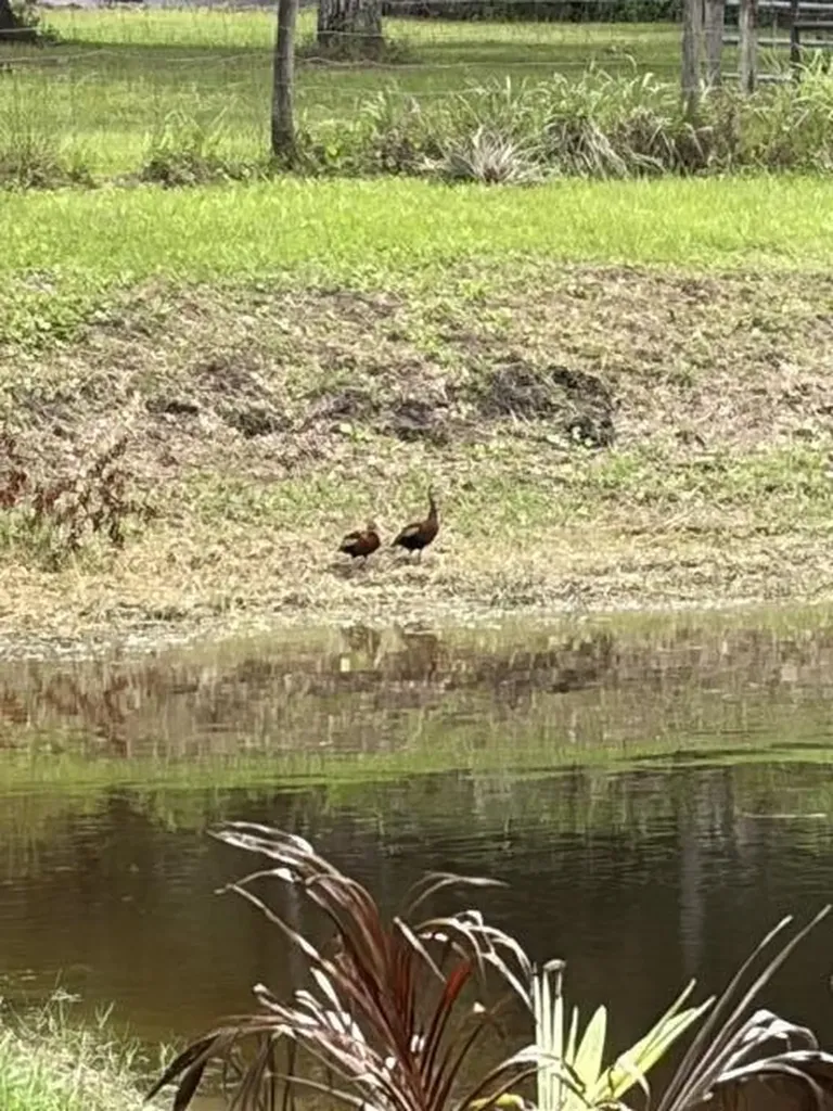 6289 S Header Canal Road Port St Lucie FL 34987