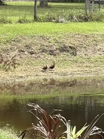 6289 S Header Canal Road Port St Lucie FL 34987